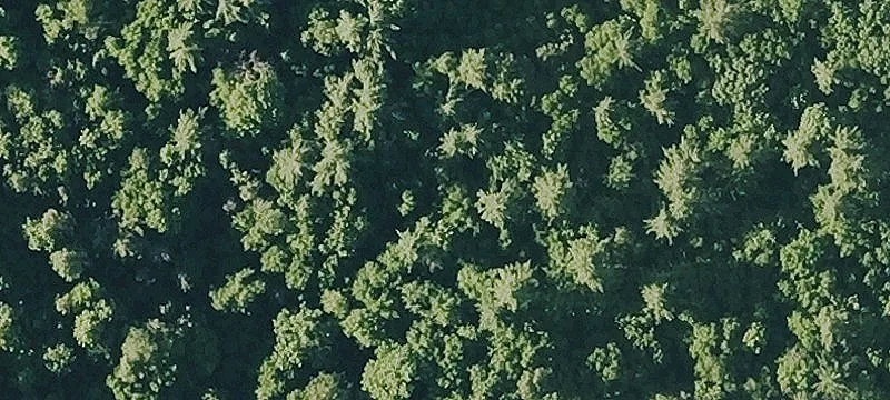 Wooded Waterfront Development Land