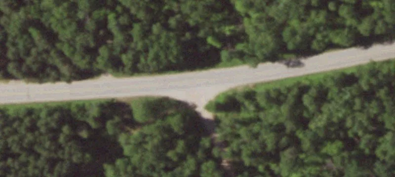 Wooded Hunting Land Parcel