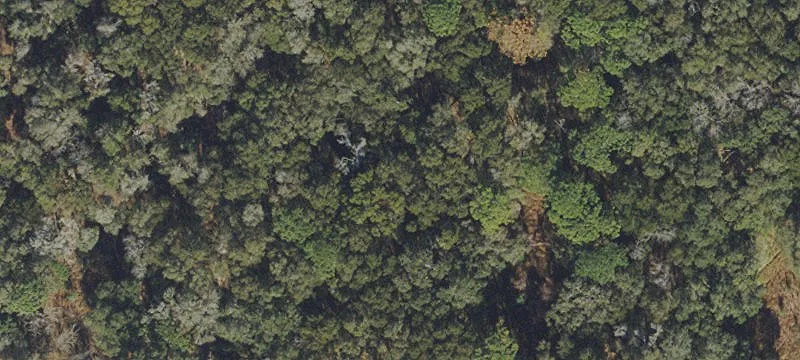 Residential Land Lot