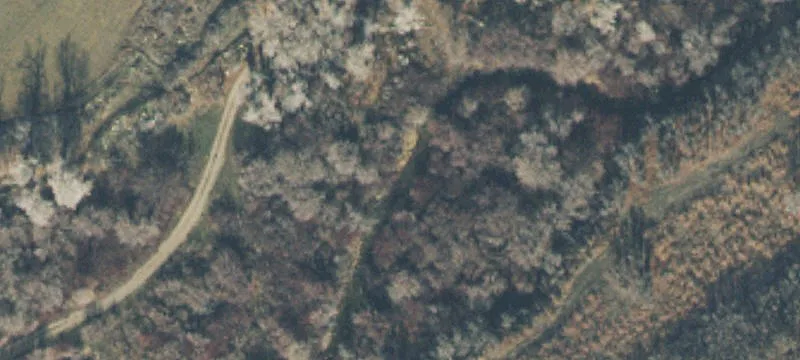 Waterfront Equestrian Land Parcel
