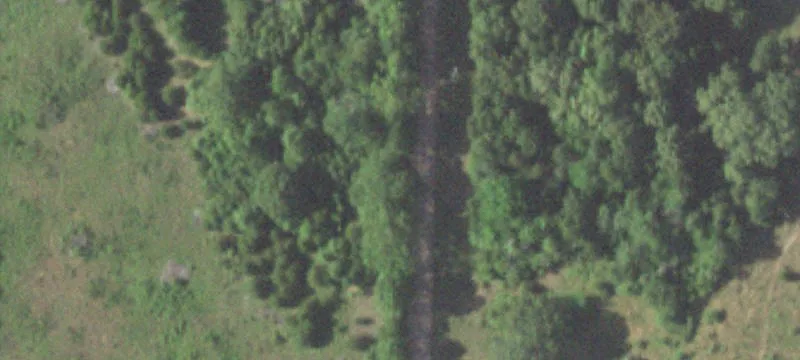 Hilltop Cattle Farm with 5 Ponds
