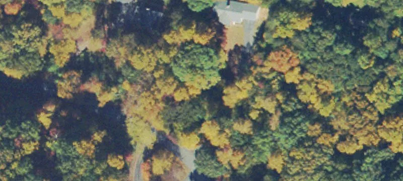 Wooded Residential Land Parcel