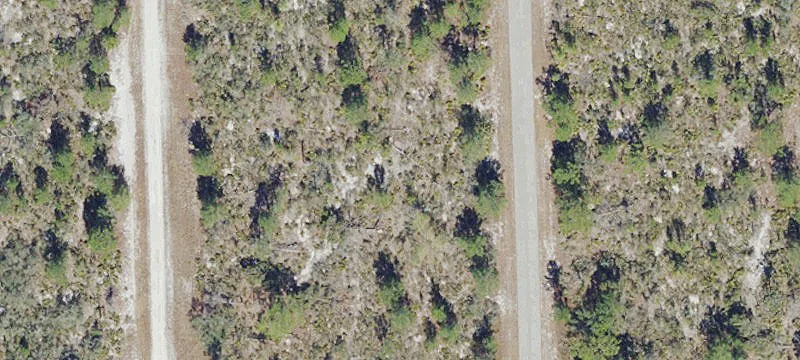 Residential Vacant Lot with Trees