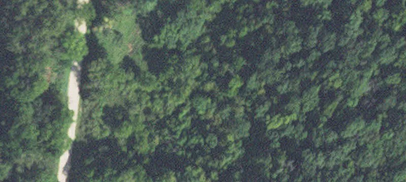 Turnkey Hunting Tract with Cabin