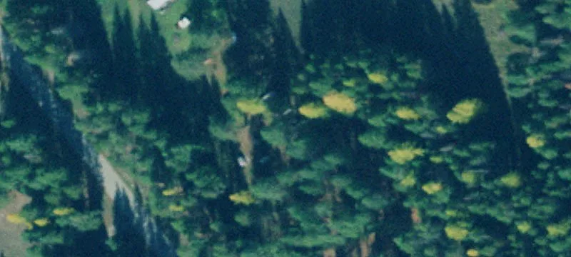 Hunting Land Parcel with Creek