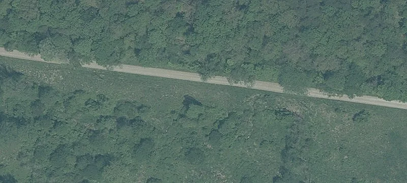 Wooded Hunting Land Acreage