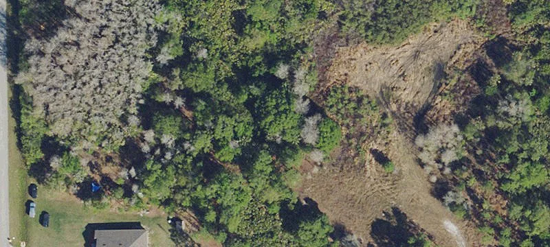 Vacant Land with Wetland Determination