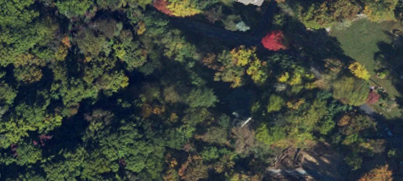 Wooded Mountain Homesite Land