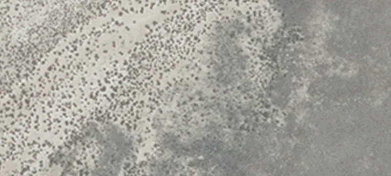 Elevated Farmland Homesite