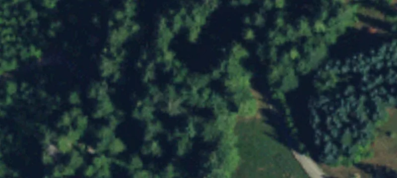 Wooded Mountain View Land Parcel