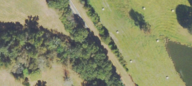 Cattle Farm with Hunting Acreage