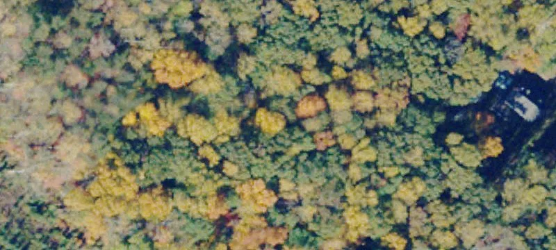 Wooded Residential Building Lot
