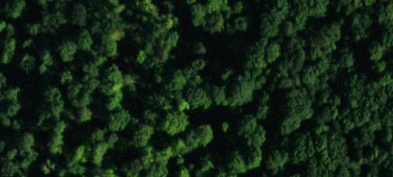 Residential Land Lot with Driveway