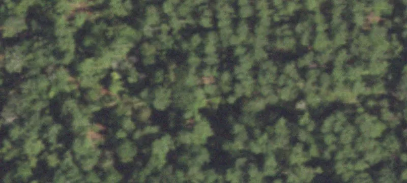 Wooded Land Tract with Road Frontage