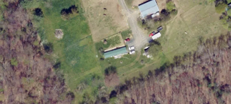 Horse Property with Riding Ring