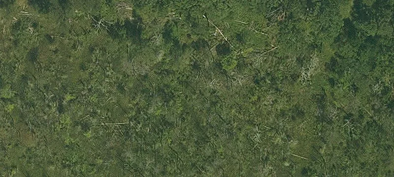Wooded Residential Lot