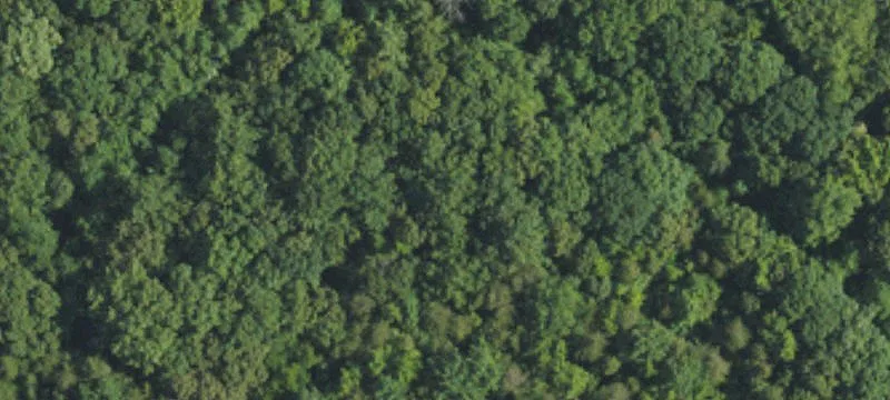 Single-Family Land for 30 Lots
