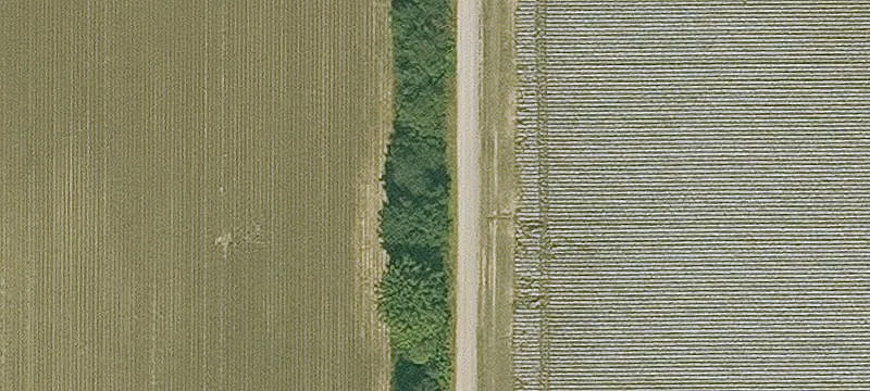 Former Poultry Farm Barn Complex