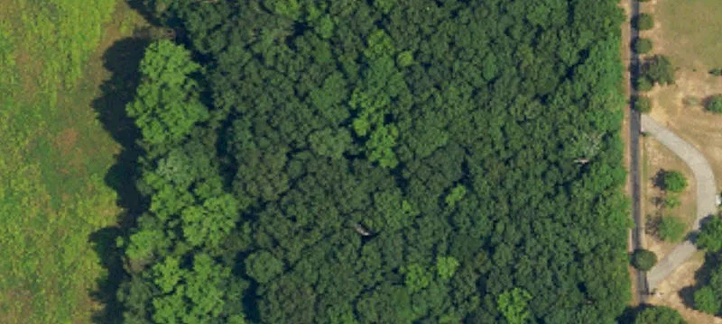 Waterfront Land Parcel