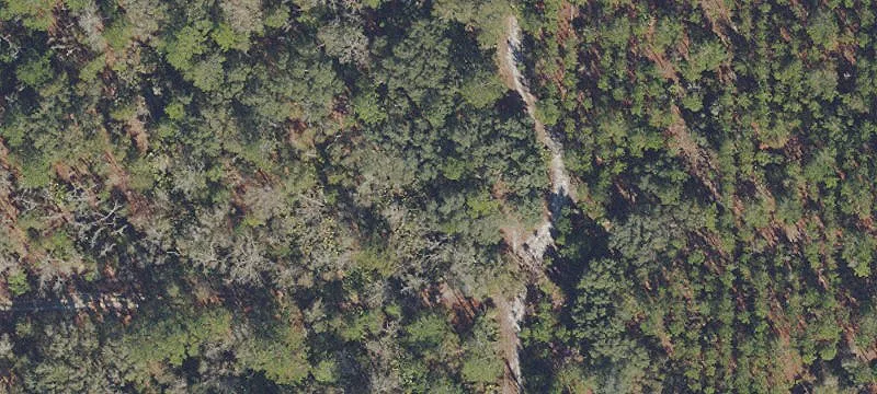 Developable Residential Home Lot