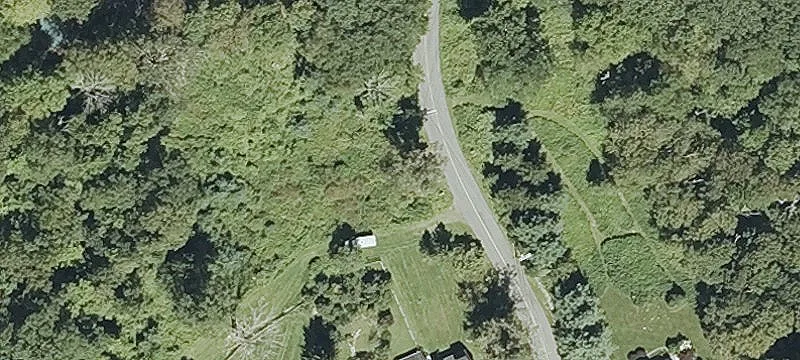 Residential Building Lot in Pine Setting
