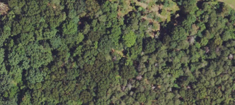 Riverfront Homesite with Utilities