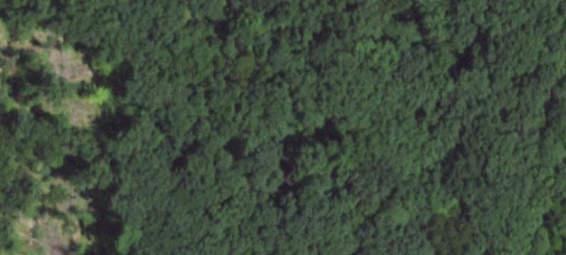Mostly Level Residential Homesite