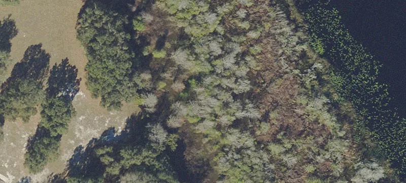 Waterfront Legacy Estate Land