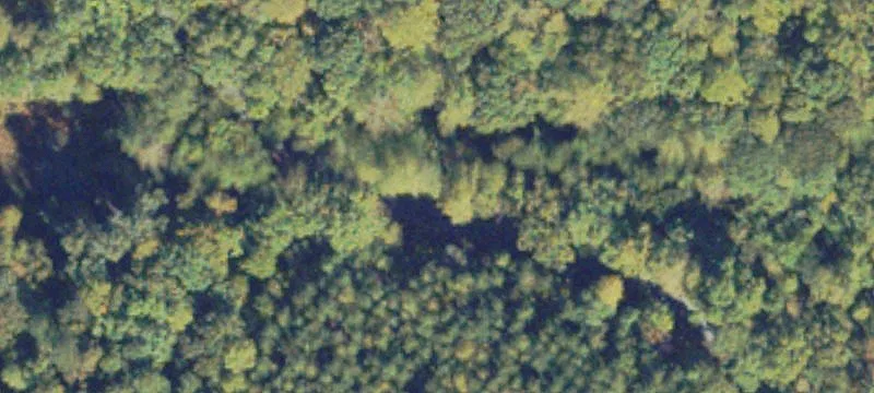 Hunting Land with Timber and Ponds