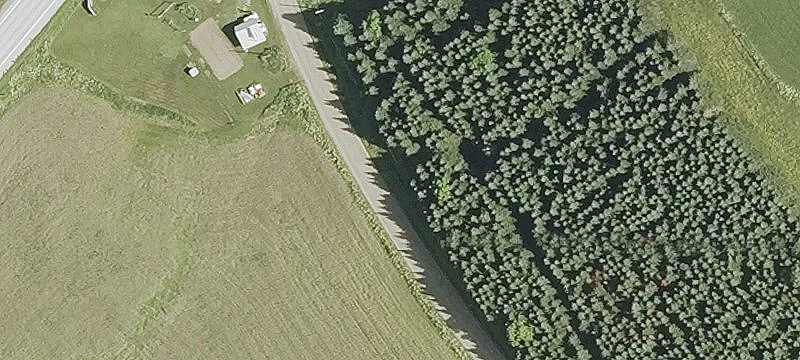 Agricultural Land Parcel