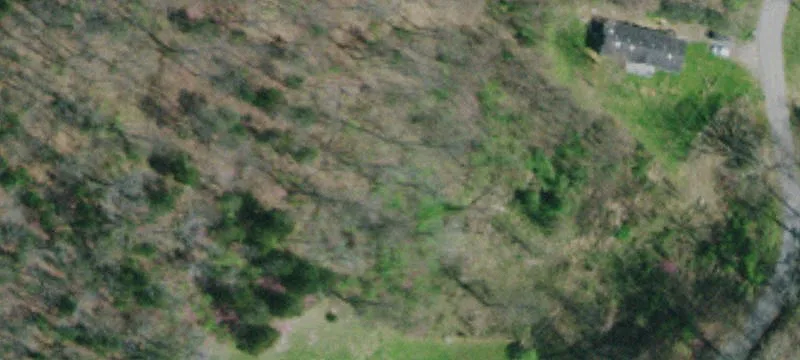Mountain and Pasture View Home Site