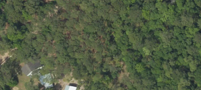 Residential Homesite with Storage Shed