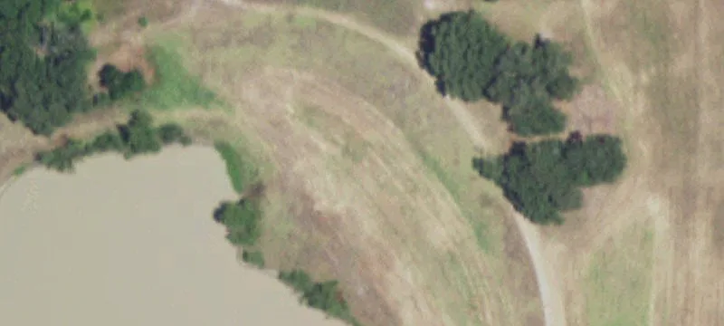 Pastureland with Ponds and Creek