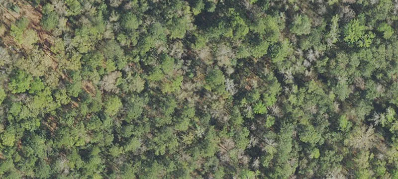 Gated Acreage Home Lot