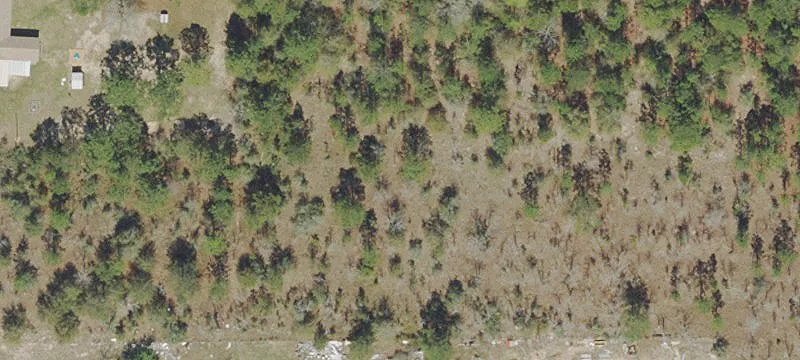 Hunting and Farmland Acreage