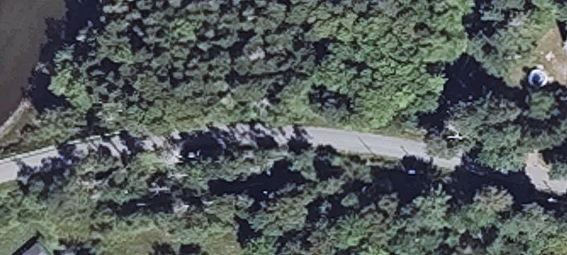 Wooded Buildable Land Parcel