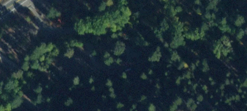 Timbered Hunting Land with Cabin