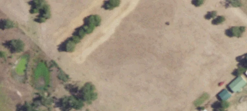 Wooded Land Tract with Road Access