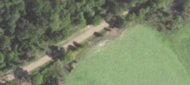 Wooded Home-Building Lot
