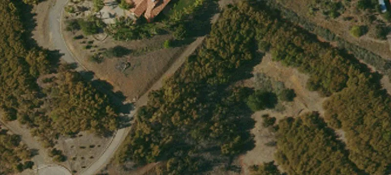 Hass Avocado Orchard Land