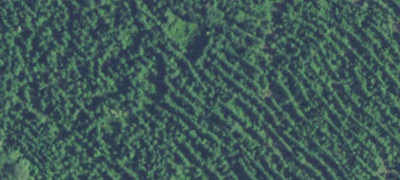 Other Agricultural Land Parcel