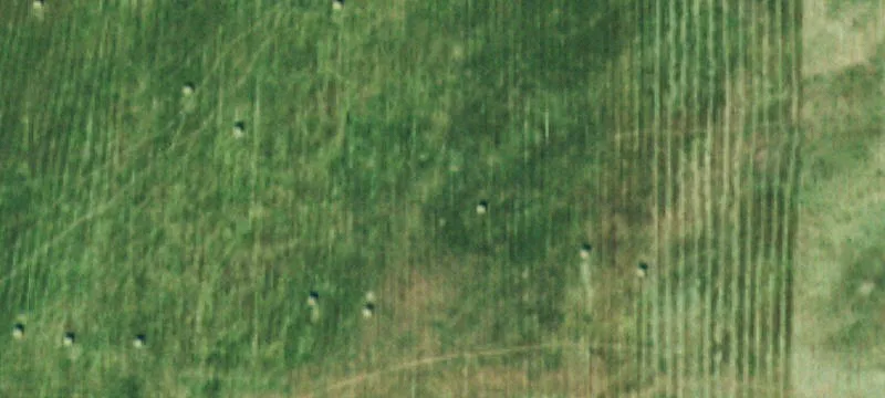 Agricultural Water-Rights Land Parcel