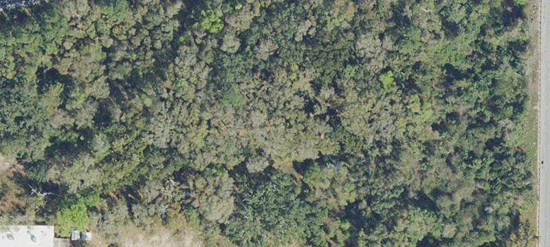 Commercially Zoned Land with Road Frontage