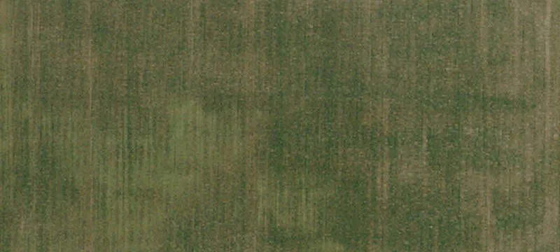 Row Crop Farmland Parcel