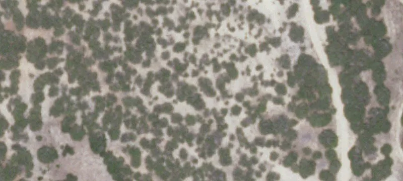 Hill Country Ranch Land Tract