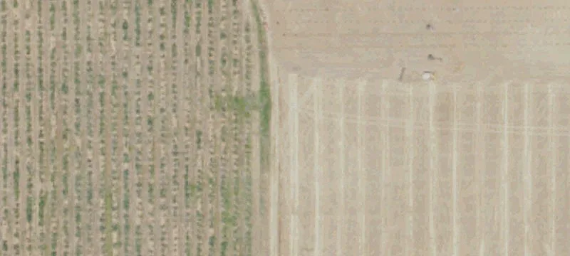 Warehouse and Vineyard Compound