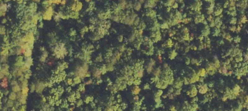 Creekfront Mountain Land Tract