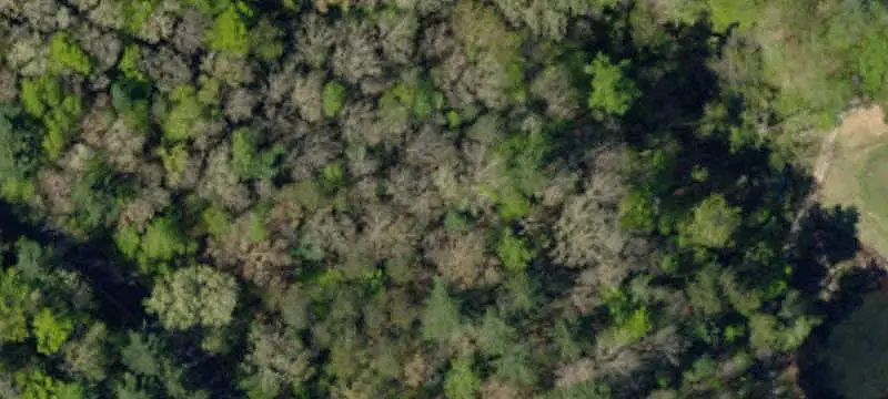 Wooded Golf Course Homesite