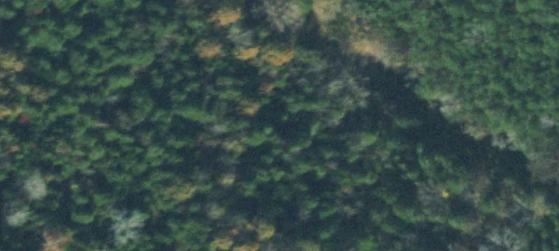 Wooded Hunting Tract with Valley