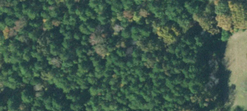 Hunting and Timber Land Tract